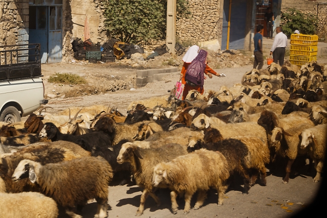 Tang-e Chogân-Sur la route-006